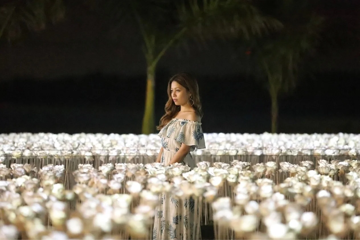 10,000 Roses パームツリーとライトアップされた1万本のバラ