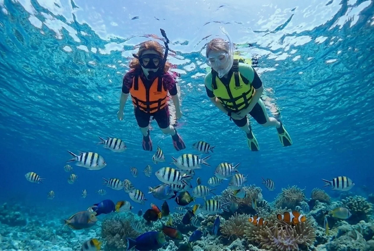 サンビセンテ海洋保護区(San Vicente Marine Sanctuary) シュノーケリングと熱帯魚