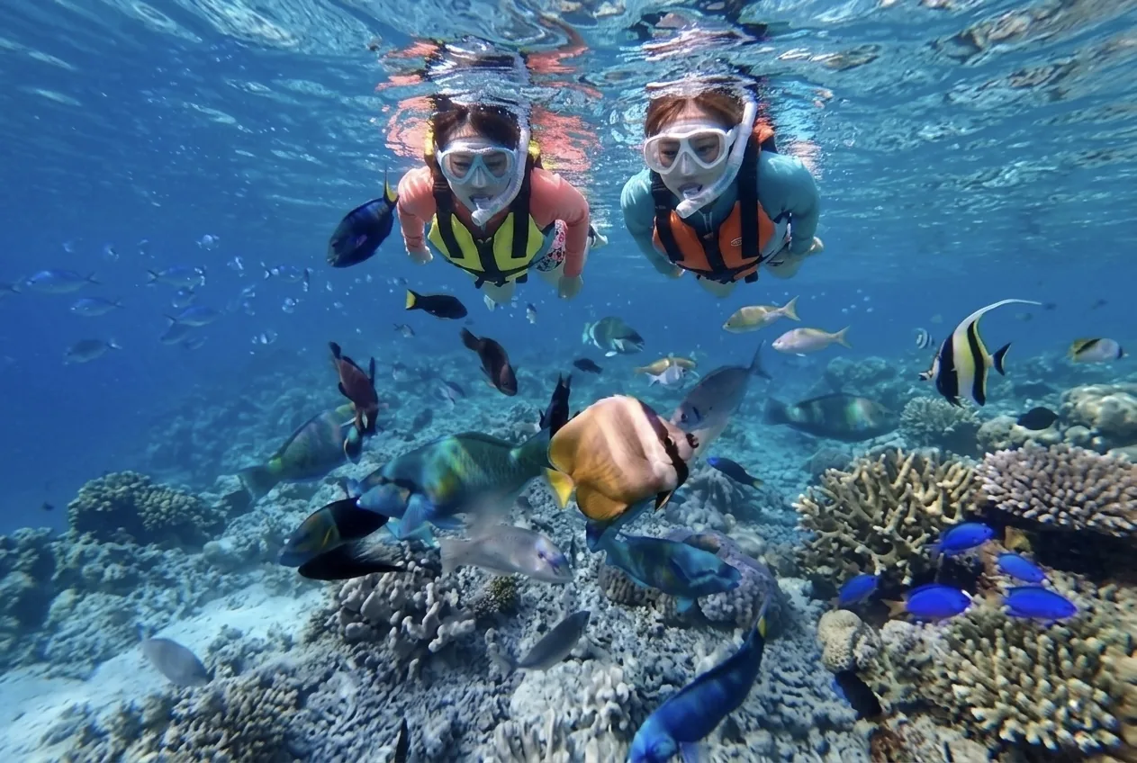 スミロン島 スノーケリングで熱帯魚と泳ぐ・水中絶景